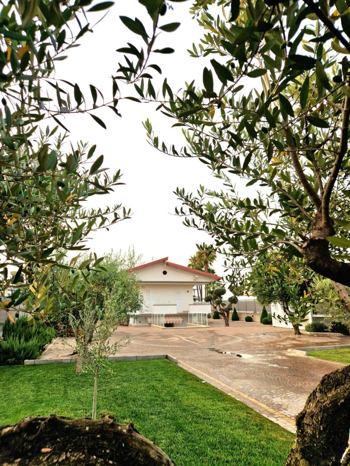 Corte D'Aniello Scafati Exteriör bild